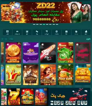 ZD22 game 