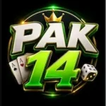 PAK14 Game logo