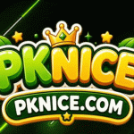 PKNICE Game